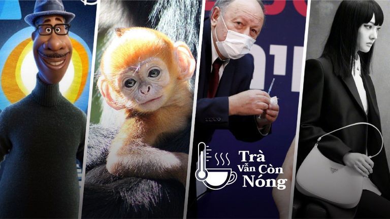 Nguồn: Bich Ho cho Vietcetera