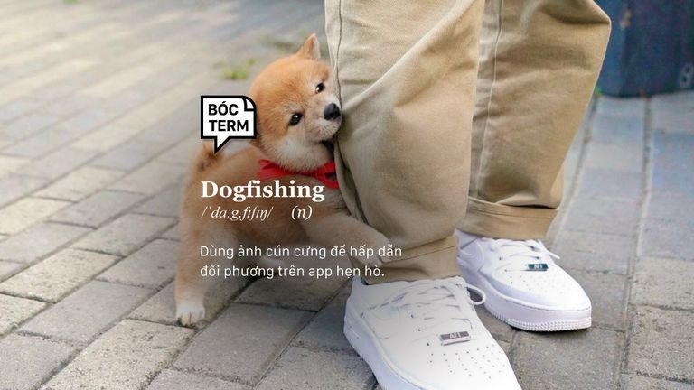 Dogfishing - Bạn đã từng “quẹt phải” vì ảnh chó mèo quá cưng?