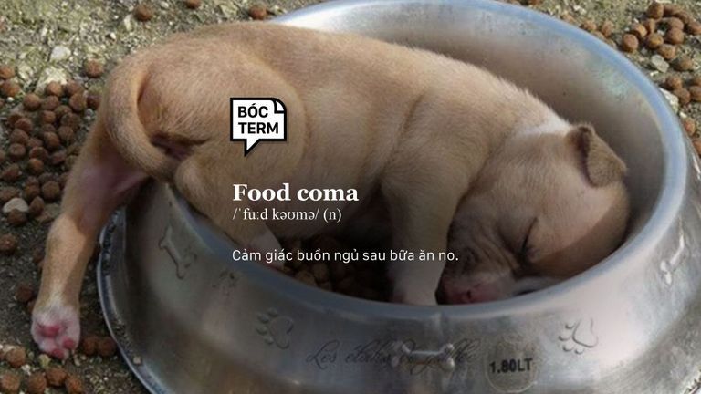 Nguồn: Imgflip. Thiết kế bởi Thảo Nguyễn cho Vietcetera.