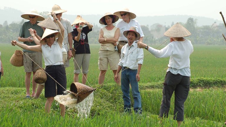 Visitors take part in hands-on rice farming experiences in the countryside of Vinh Phuc. | Source: Vinh Phuc Radio & Television Station