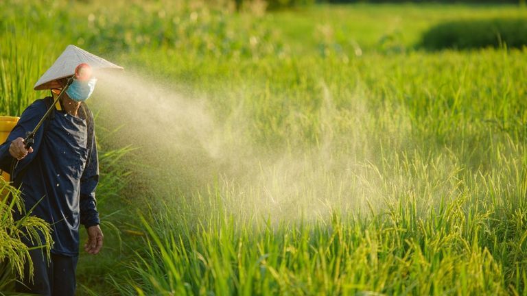 The European-Vietnam Free Trade Agreement is an “important incentive for Vietnamese farmers and entrepreneurs to go greener."