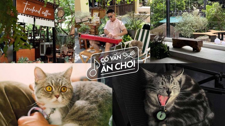 5 Không gian cafe thân thiện với thú cưng ở Hà Nội