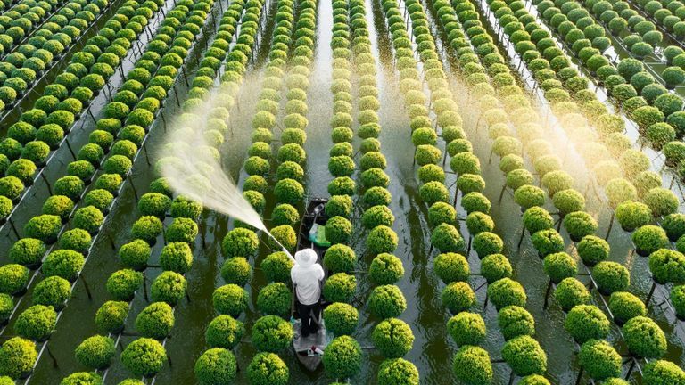 Vietnam is racing against time to mitigate the impacts of climate change. | Source: Shutterstock