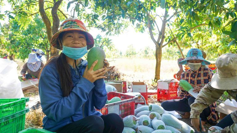 “We are very happy to see a way out from this situation. Three tons could be small, but it’s a good start for us to learn to step into the domestic market.” | Source: Quyen Nguyen Da