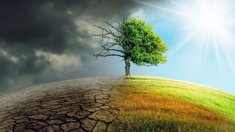 As the world suffers climate change, businesses are being threatened too. | Source: Shutterstock