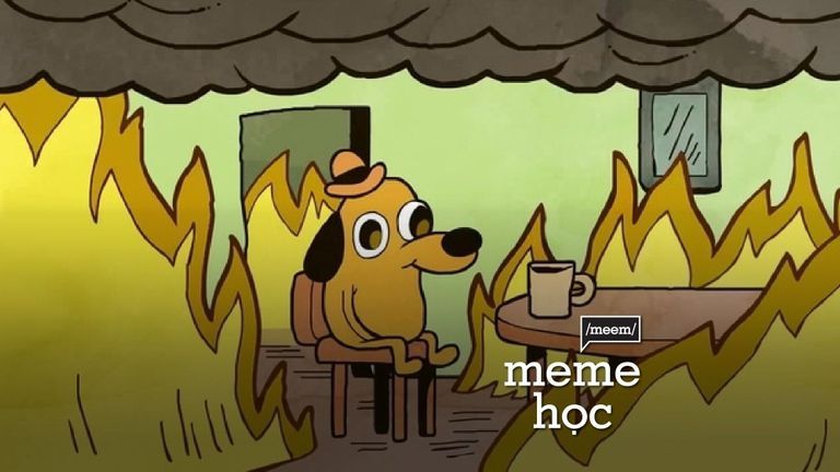 Meme học This is Fine KC Green Featured Image