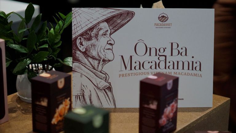 Một hạt mắc ca Việt phải đi bao xa để vẫn là chính mình?