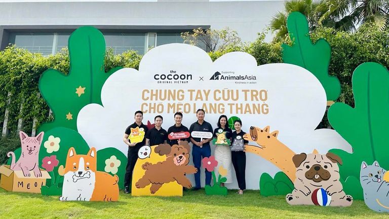 Chiến dịch chung tay cứu trợ chó mèo lang thang. | Nguồn: Cocoon