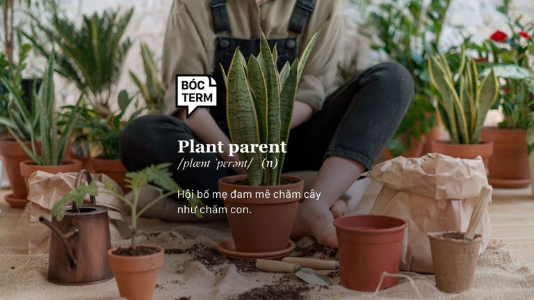 Plant parent - Hội những người chăm cây như em bé