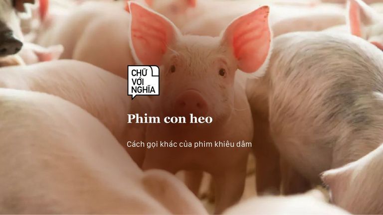 Nguồn: Headtopics.com