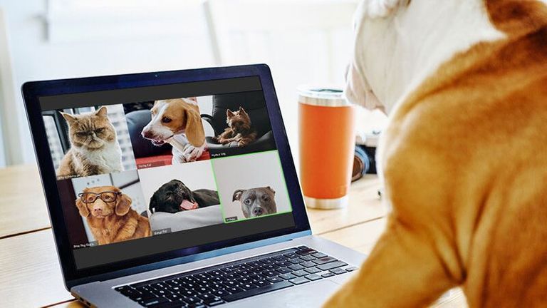 Nguồn: LifeLearn