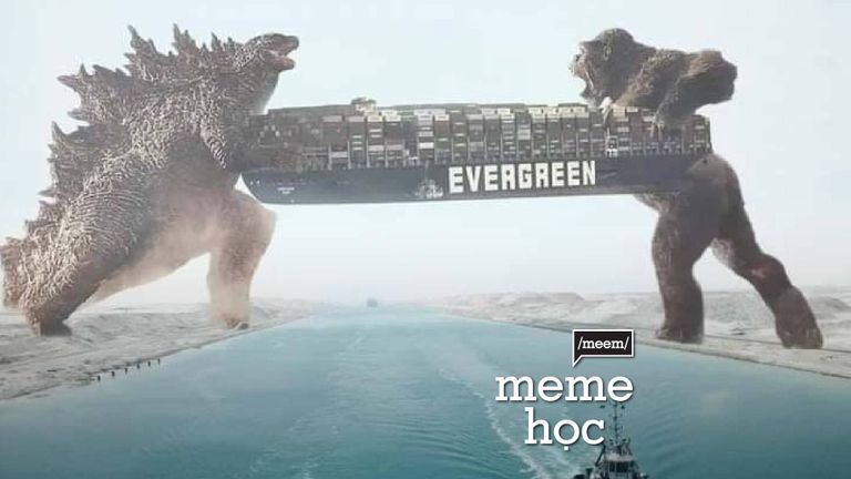 Meme học: Làm sao để giải cứu Ever Given