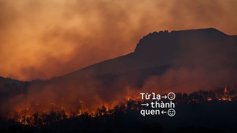 Nguồn: Unsplash