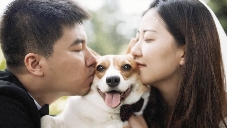 Gia đình có muôn hình vạn trạng, không trạng thái nào là "hoàn chỉnh nhất"