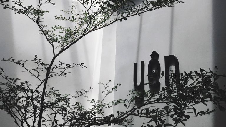 The Yen Concept - Brand Review