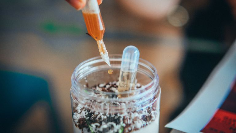 Bakes Saigon: Laure Chevallier Is Serving Up Sweet Stories