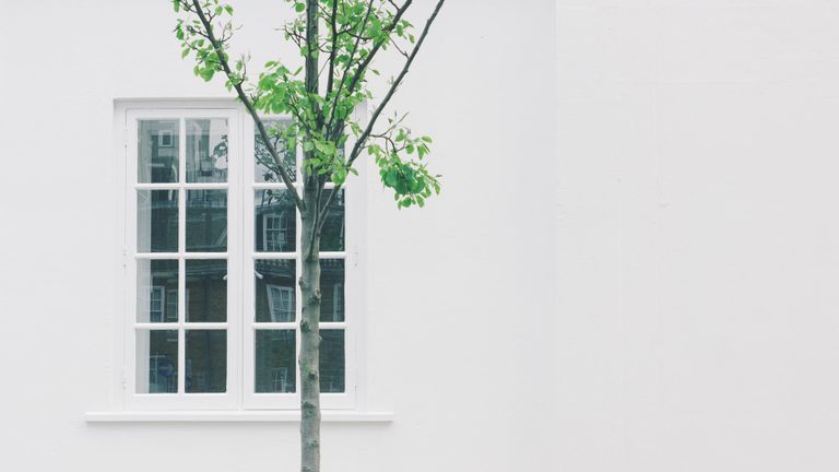 Người Việt bắt đầu sống tối giản từ đâu?