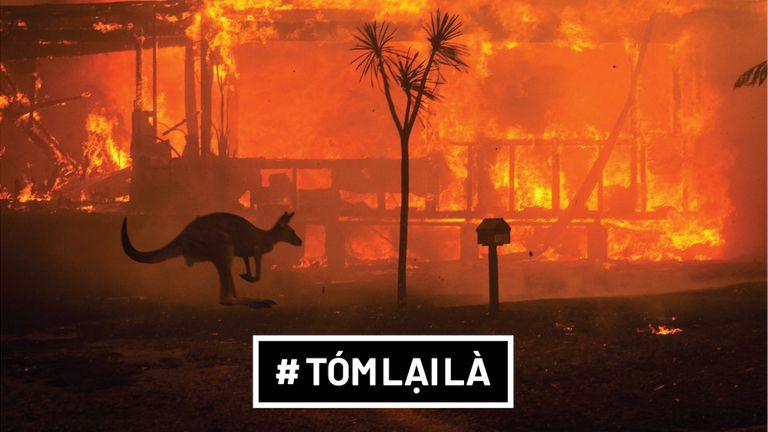 Tóm Lại Là: Tại sao rừng ở Úc cháy?